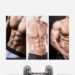 Abs Fast Fat Roller