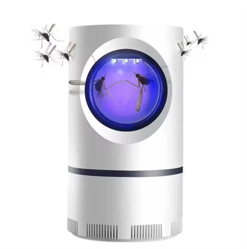 Killers Electric Fly