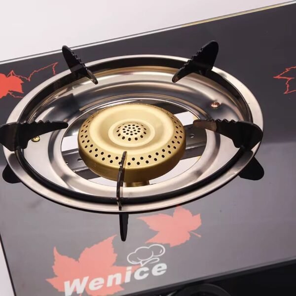 Gas Stove