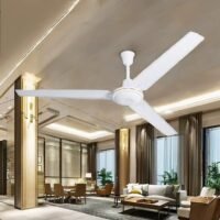 Electric Fan