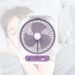 Rechargeable fan