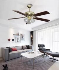 Electric fan with lamp
