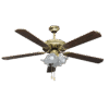 Electric fan with lamp