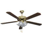 Electric fan with lamp
