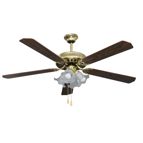 Electric fan with lamp