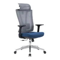 Ergonomic swivel chair for office and home with adjustable backrest and padded seat