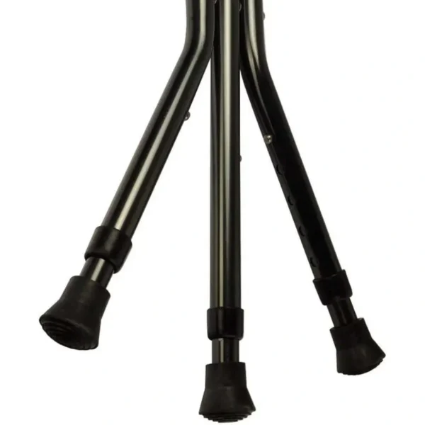 MULTI FUNCTIONAL CANE